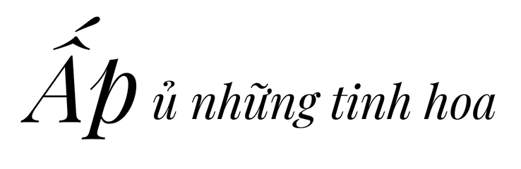 Ấp ủ những tinh hoa Ấp ủ những tinh hoa