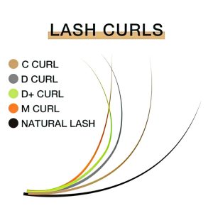 Combo 5 hình Thông Số Lông Mi dành cho dạy học